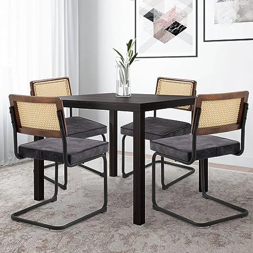 Velvet Accent Chairs with Rattan Upholstery and Cantilever Metal Base U324
