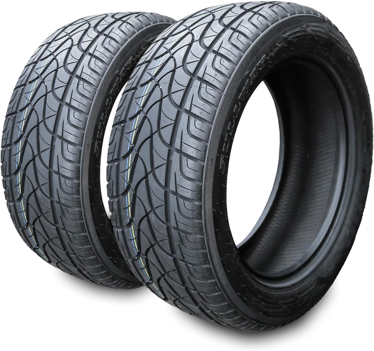 Set of 2 All-Season Performance Radial Tires 305/45R22 118V XL BSW D7576