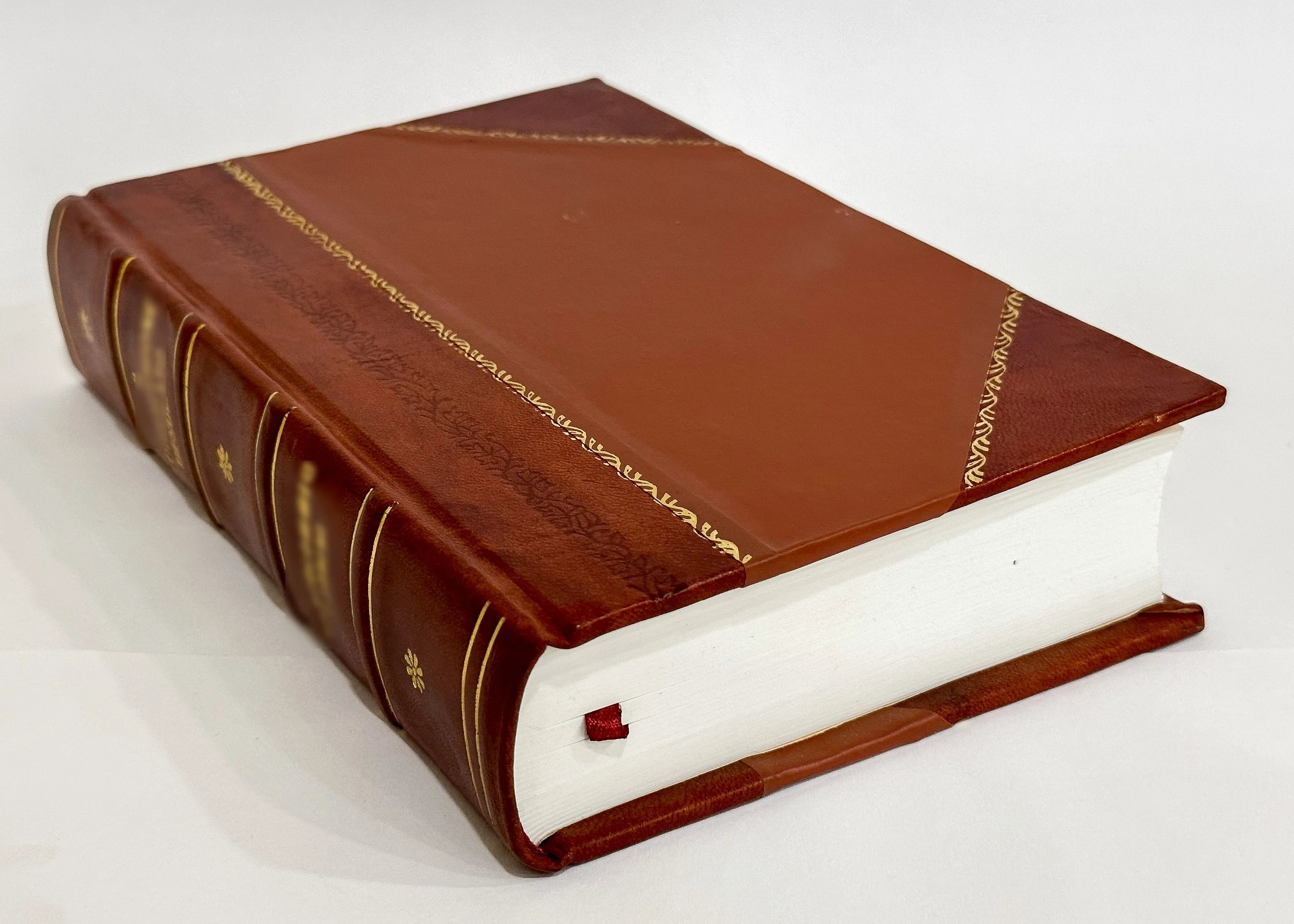 History of Three Hundred and Twenty Eighth Regiment of Infantry : Eighty-Second Division, American Expeditionary Forces, United States Army (1920) [Leather Bound] B63674