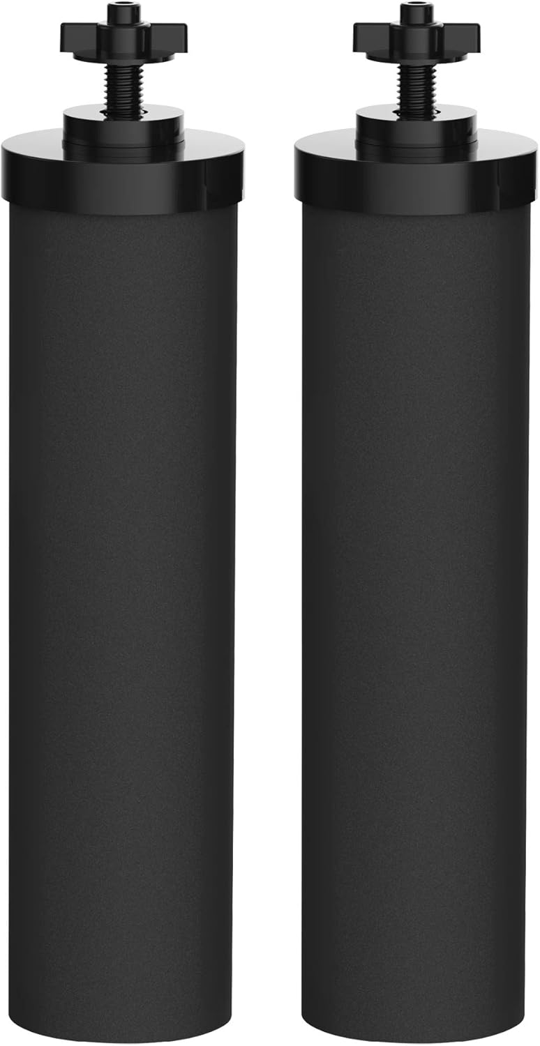 Water Filter Replacement Elements (2 Pack) G618831