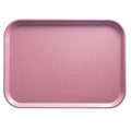 Blush Rectangular Fiberglass Camtray P231