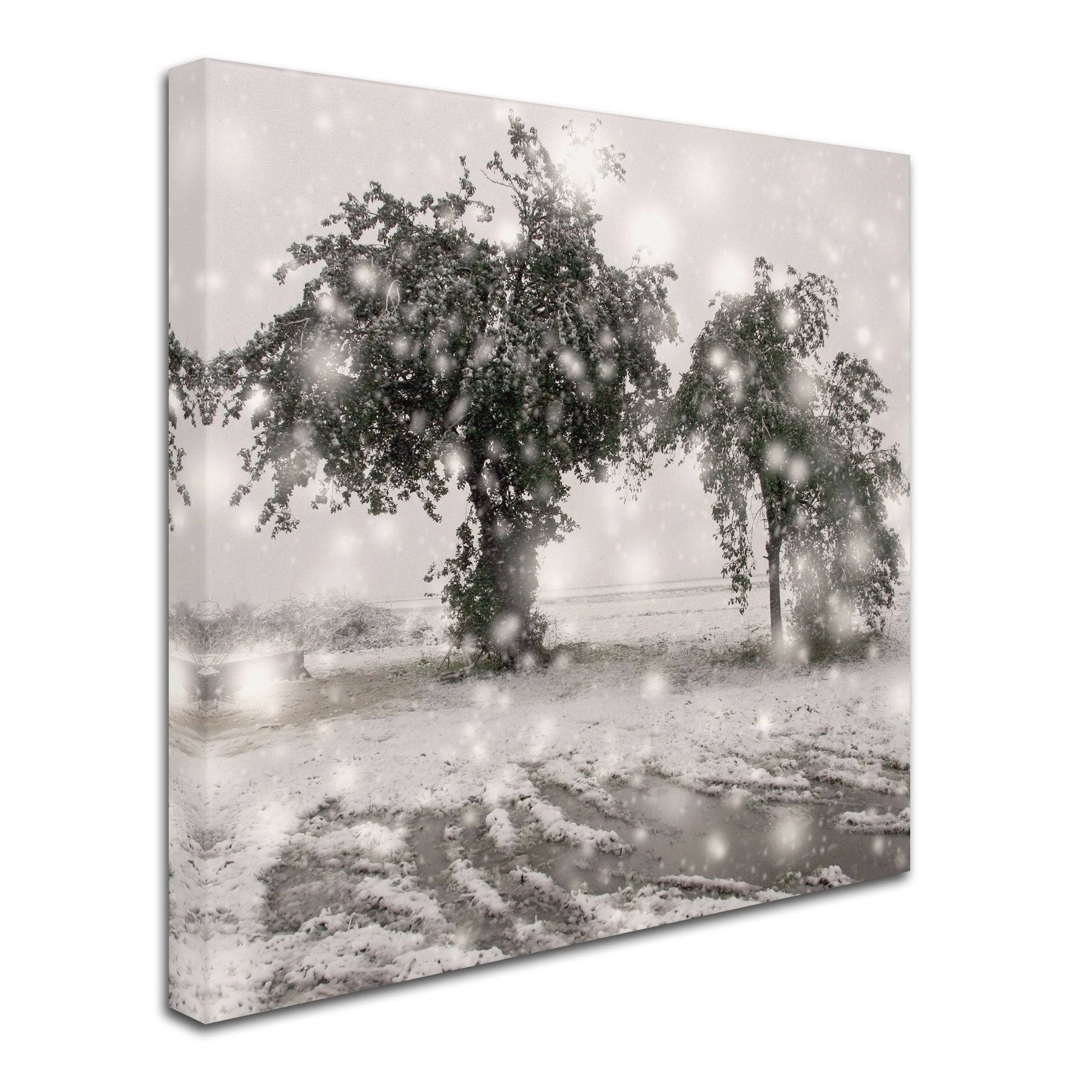 Canvas Art F8530
