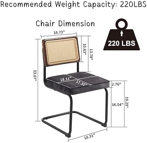 Velvet Accent Chairs with Rattan Upholstery and Cantilever Metal Base U324