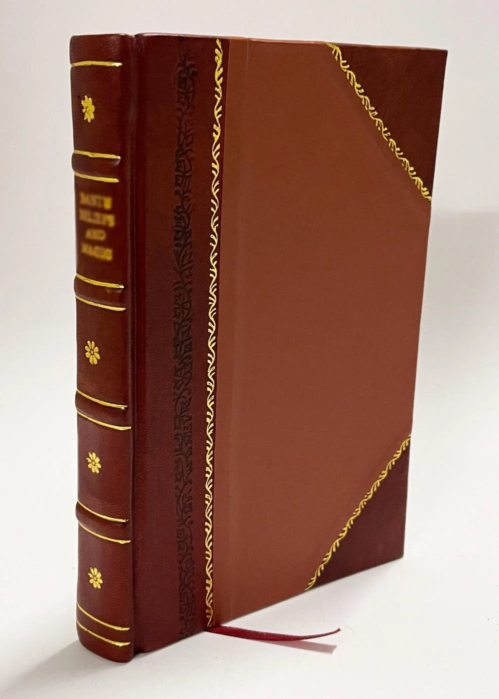 History of Three Hundred and Twenty Eighth Regiment of Infantry : Eighty-Second Division, American Expeditionary Forces, United States Army (1920) [Leather Bound] B63674