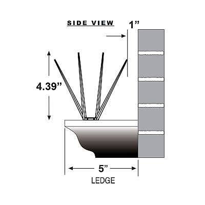 Bird Spike, True 50-Feet E6639