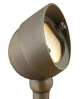Landscape Spot Light E298
