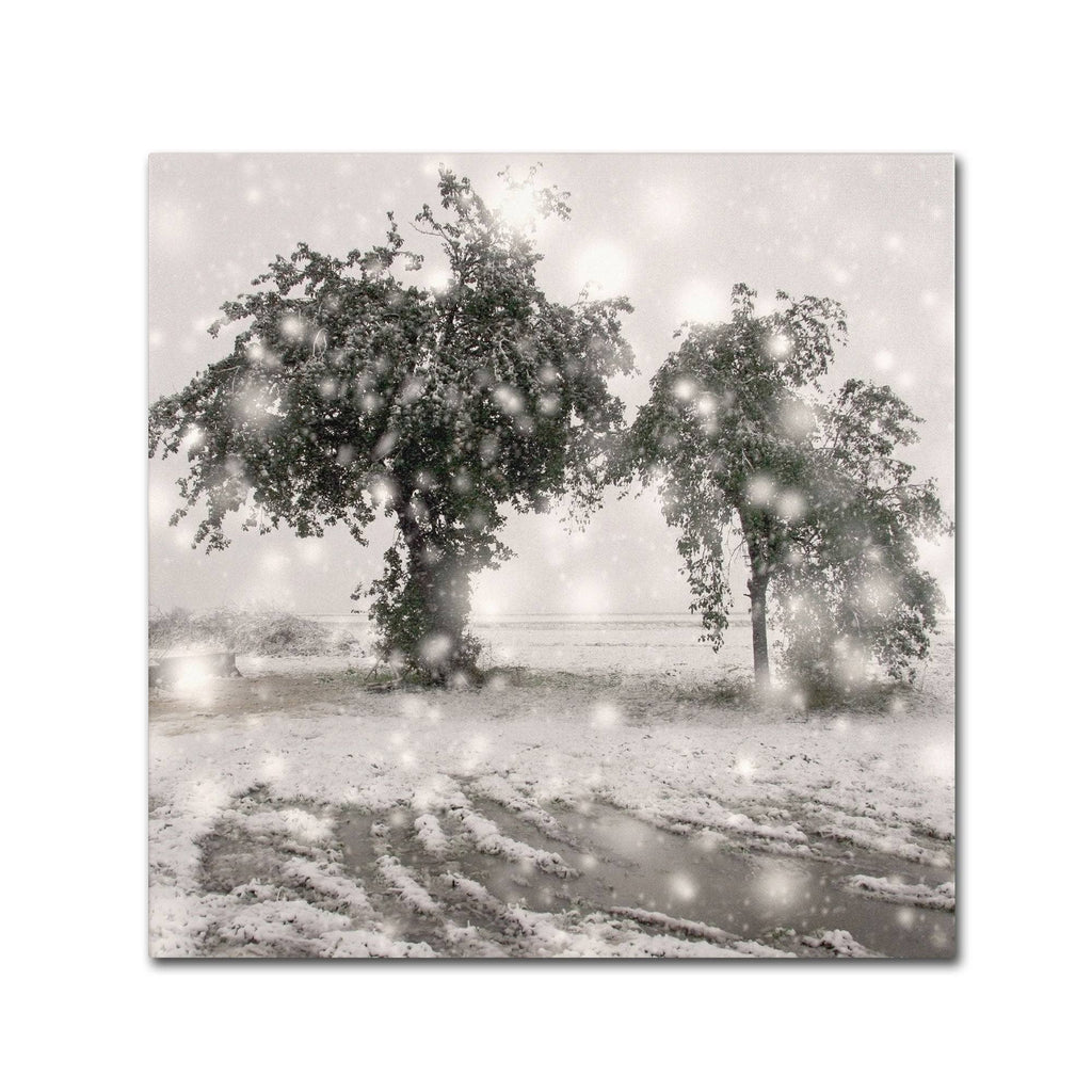 Canvas Art F8530