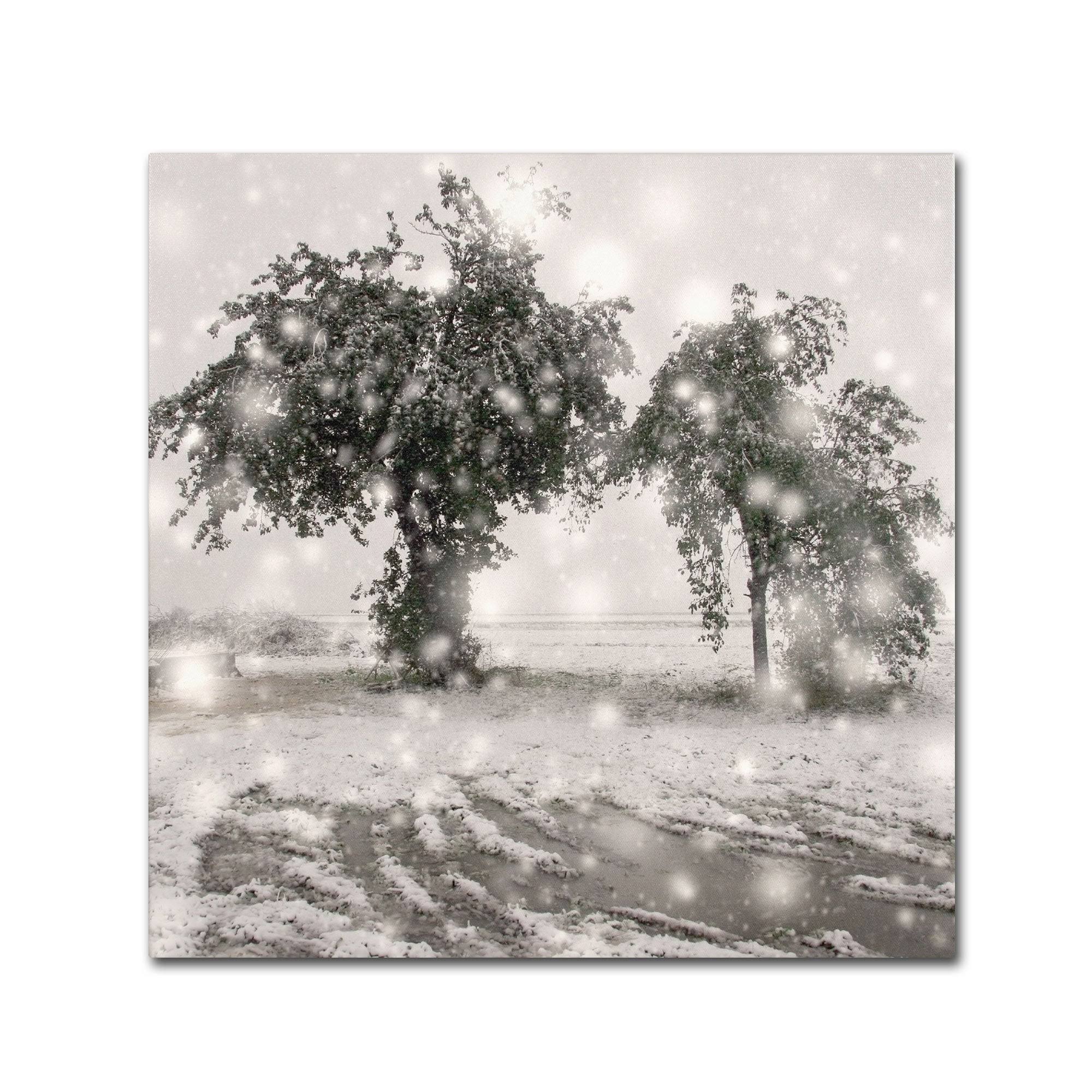 Canvas Art F8530