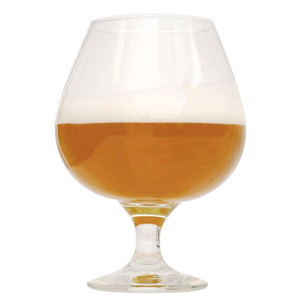 Imperial IPA Beer Recipe Kit N46831
