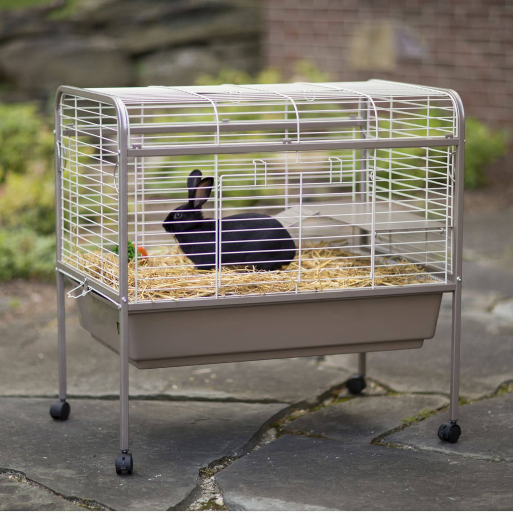 Small Animal Cage X644938