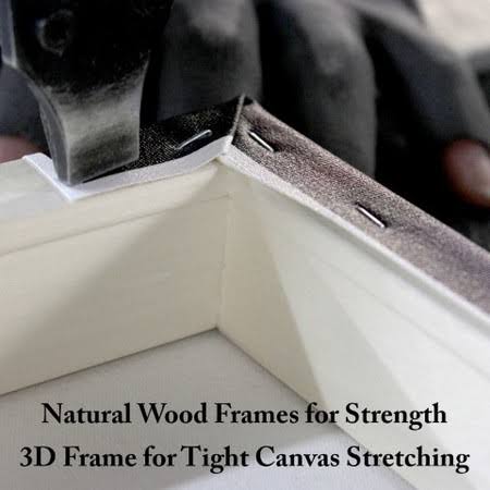 Canvas Art F8530
