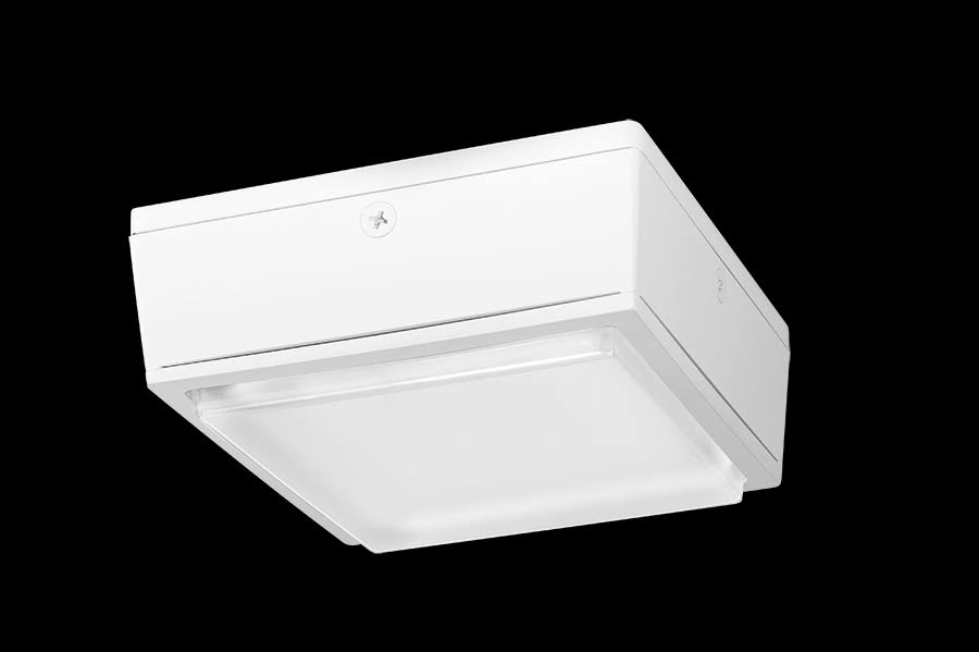 10W Warm LED Canopy Light L67883