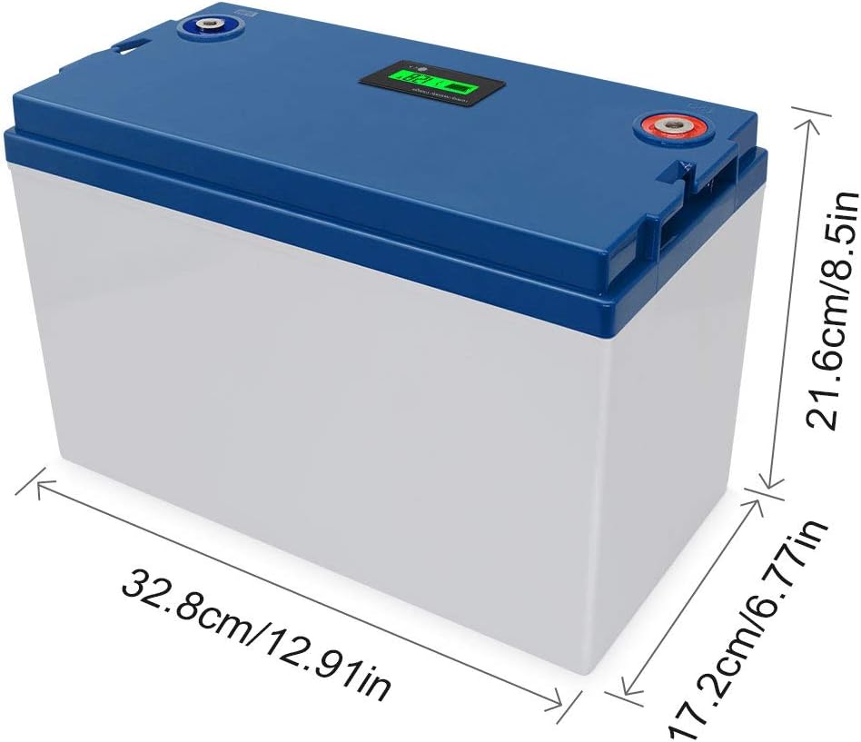 12V 100Ah Lithium Iron Phosphate Deep Cycle Battery Pack with 100A BMS D3670