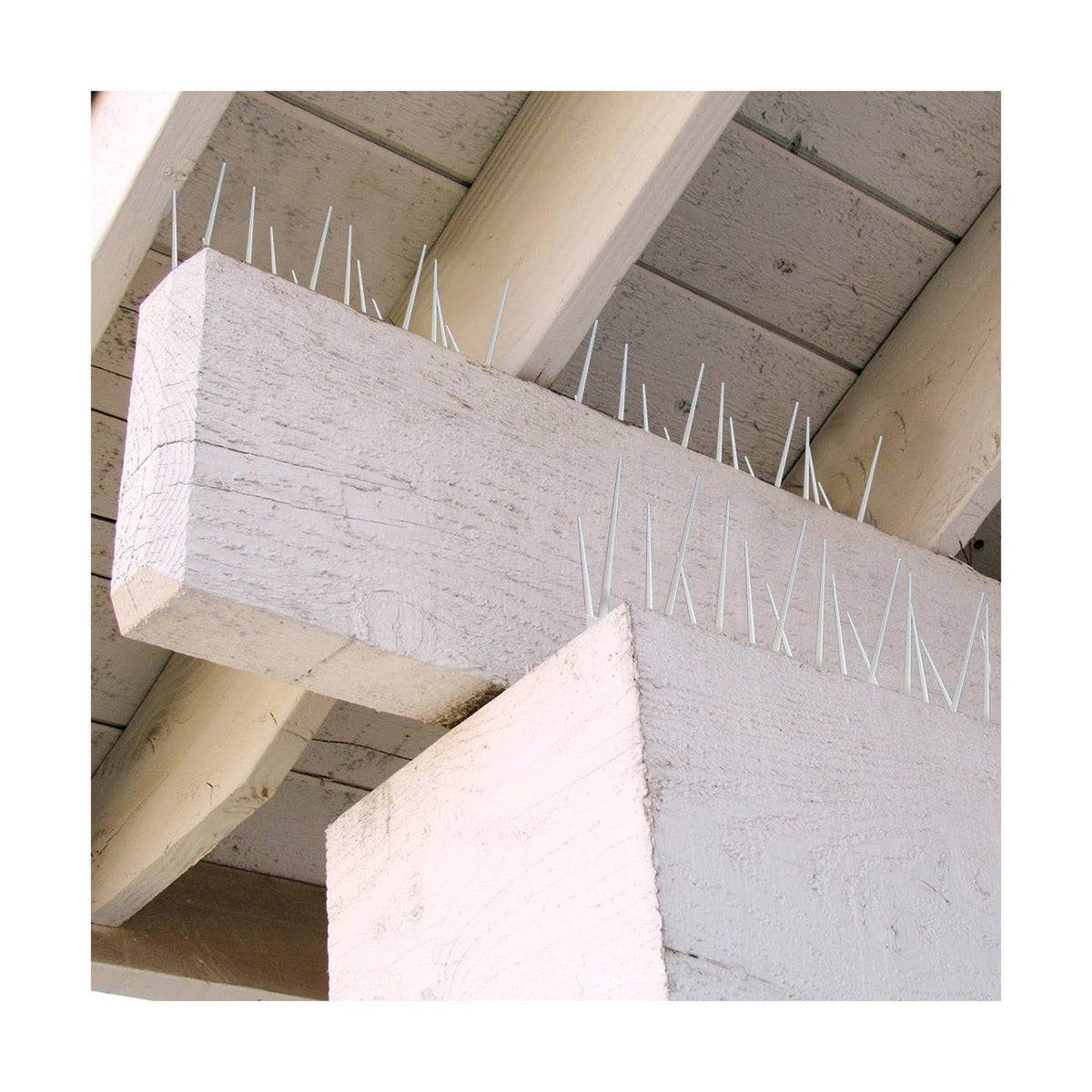 Bird Spike, True 50-Feet E6639