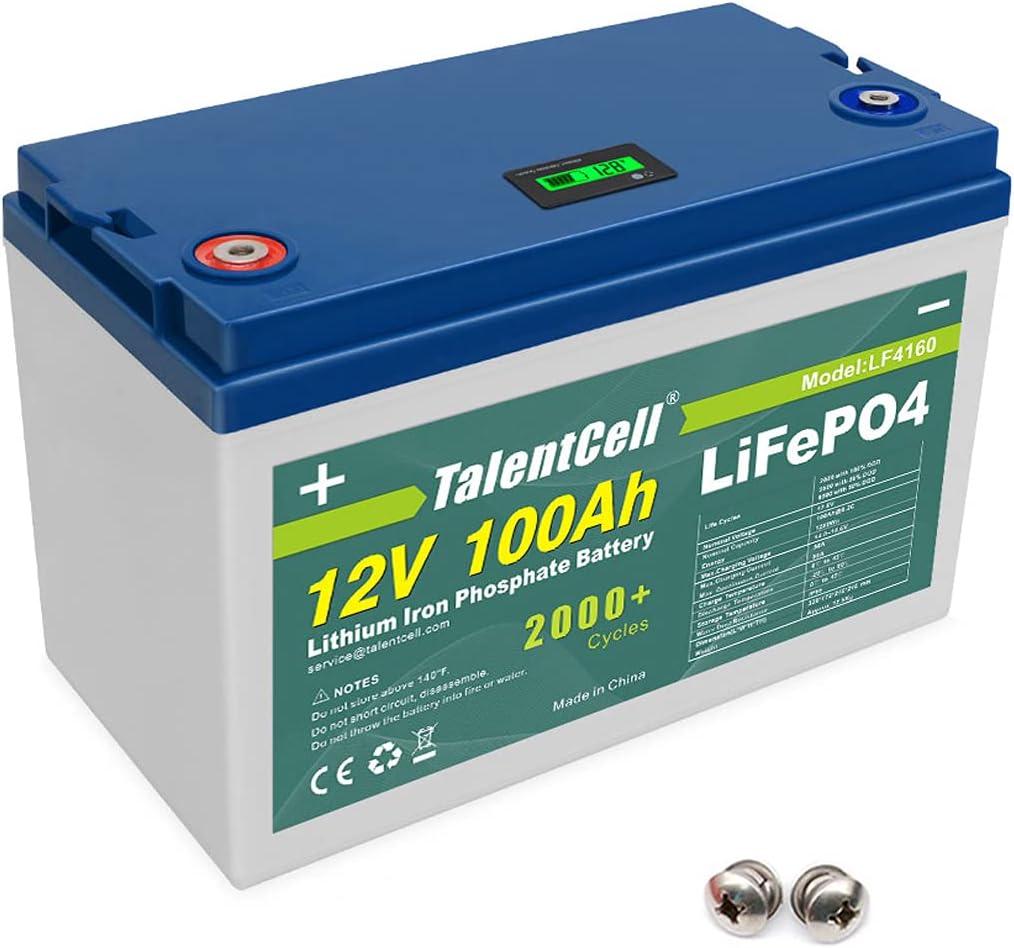 12V 100Ah Lithium Iron Phosphate Deep Cycle Battery Pack with 100A BMS D3670