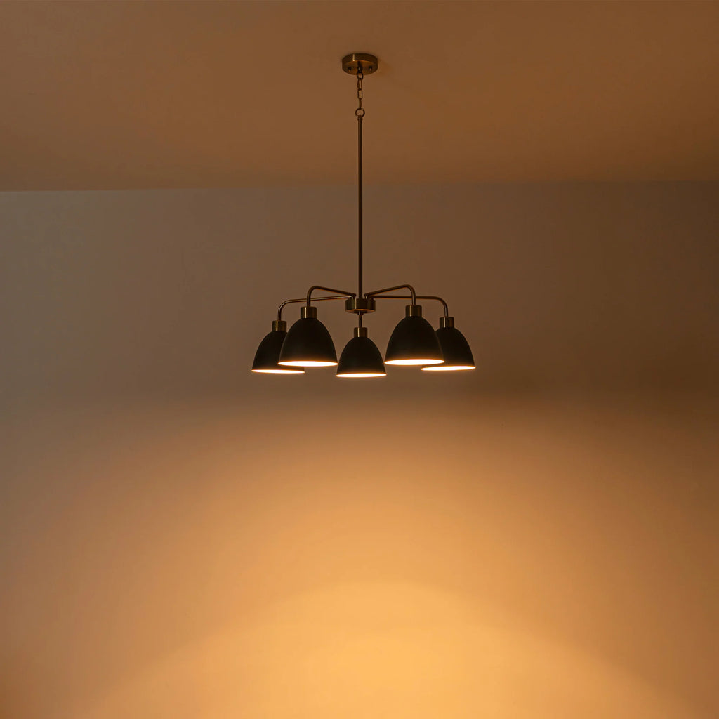 5-Light Dimmable Industrial Shaded Chandelier F776576