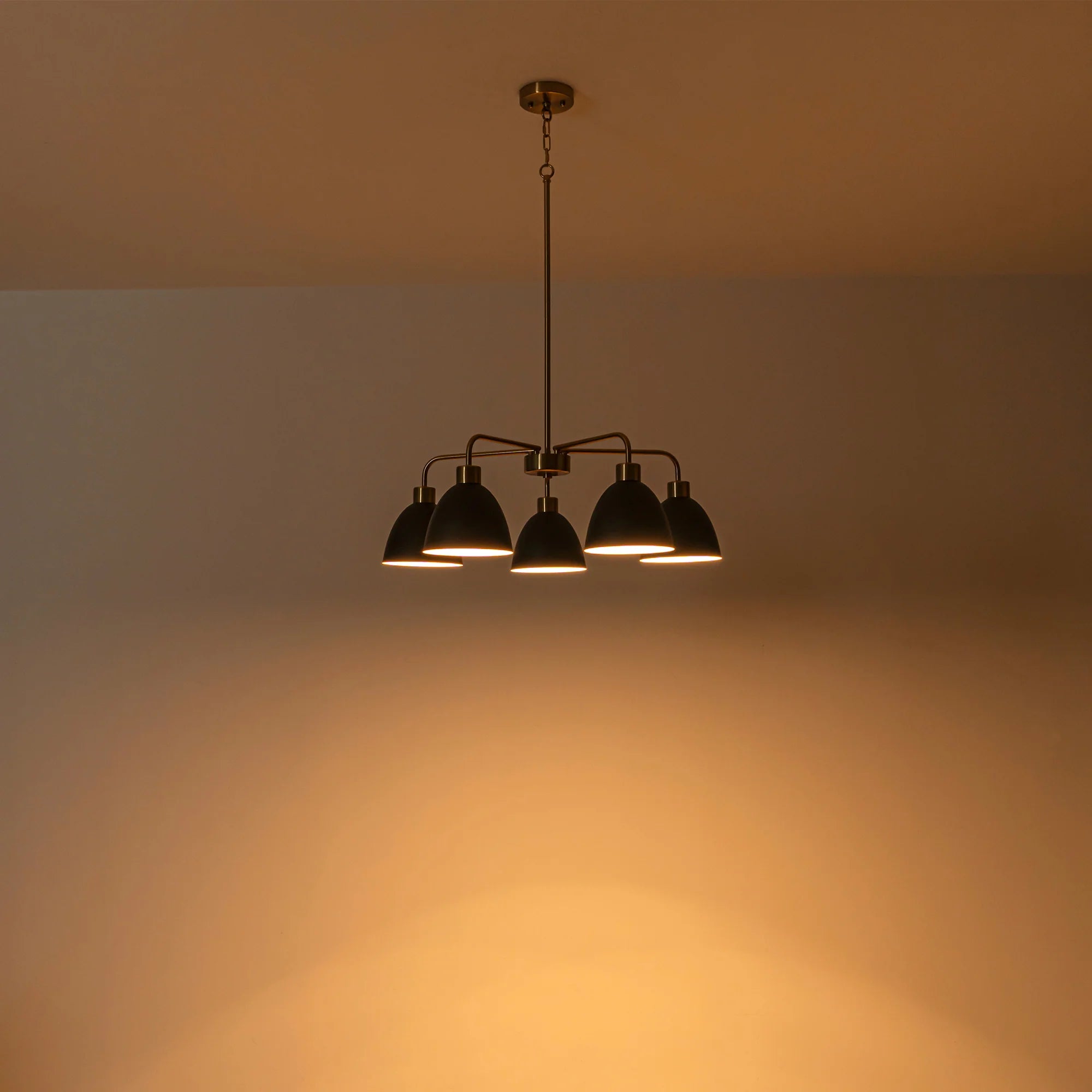 5-Light Dimmable Industrial Shaded Chandelier F776576