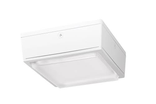 10W Warm LED Canopy Light L67883
