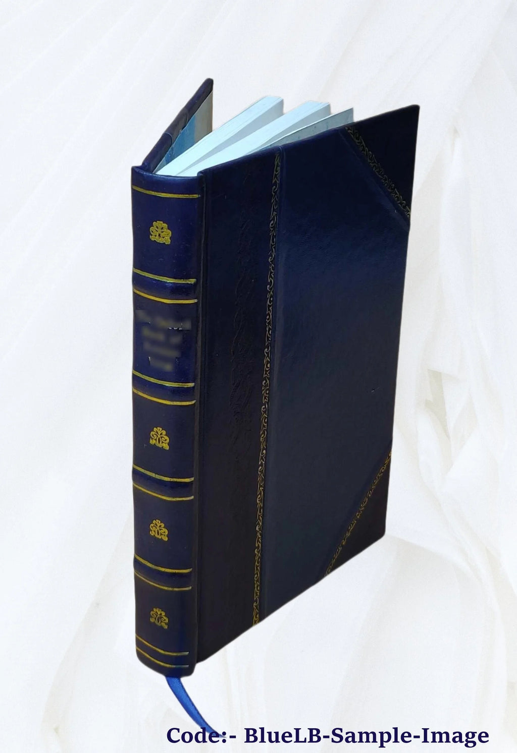 Leather Bound Book B874806