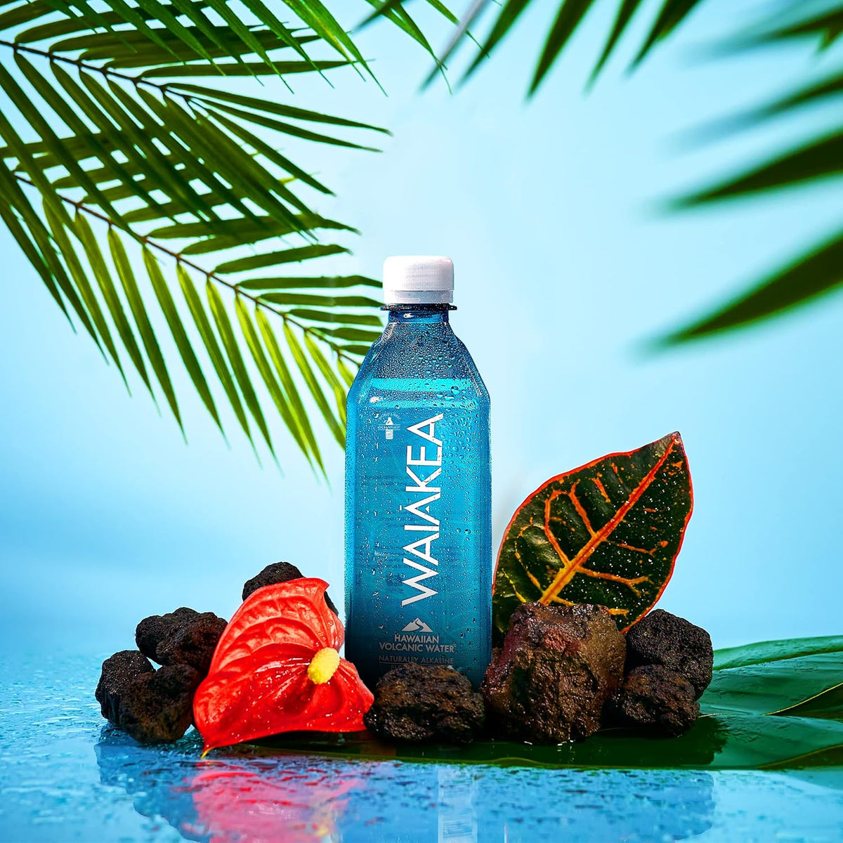 Hawaiian Volcanic Water, Naturally Alkaline, 16.9 Fl Oz (Pack of 24) D1550