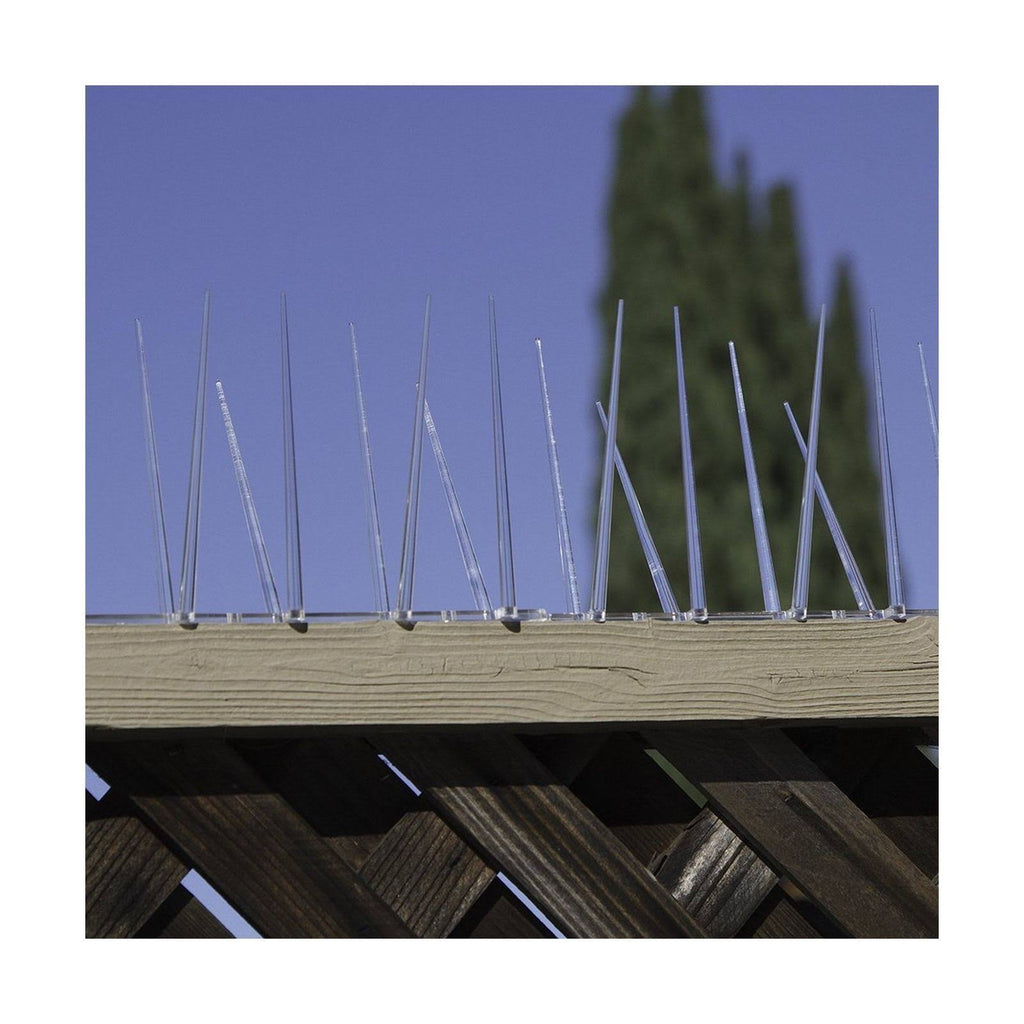 Bird Spike, True 50-Feet E6639