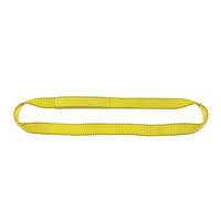 4 Ply 3x22 x 10& Endless Polyester Web Sling B2409