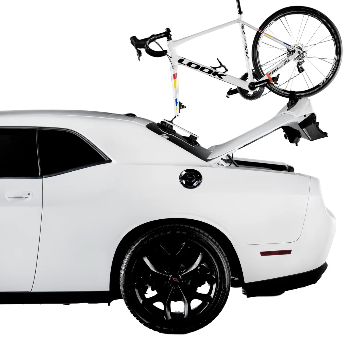 Black Talon Fork Mount Bike Rack D495