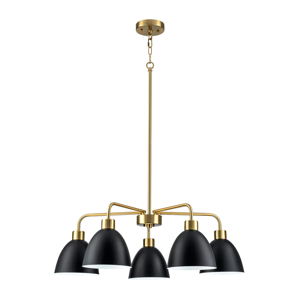 5-Light Dimmable Industrial Shaded Chandelier F776576