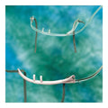 Continuous Flow Adult Nasal Cannula E114283