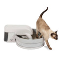 Auto-Clean Litter Box with Filters Q604