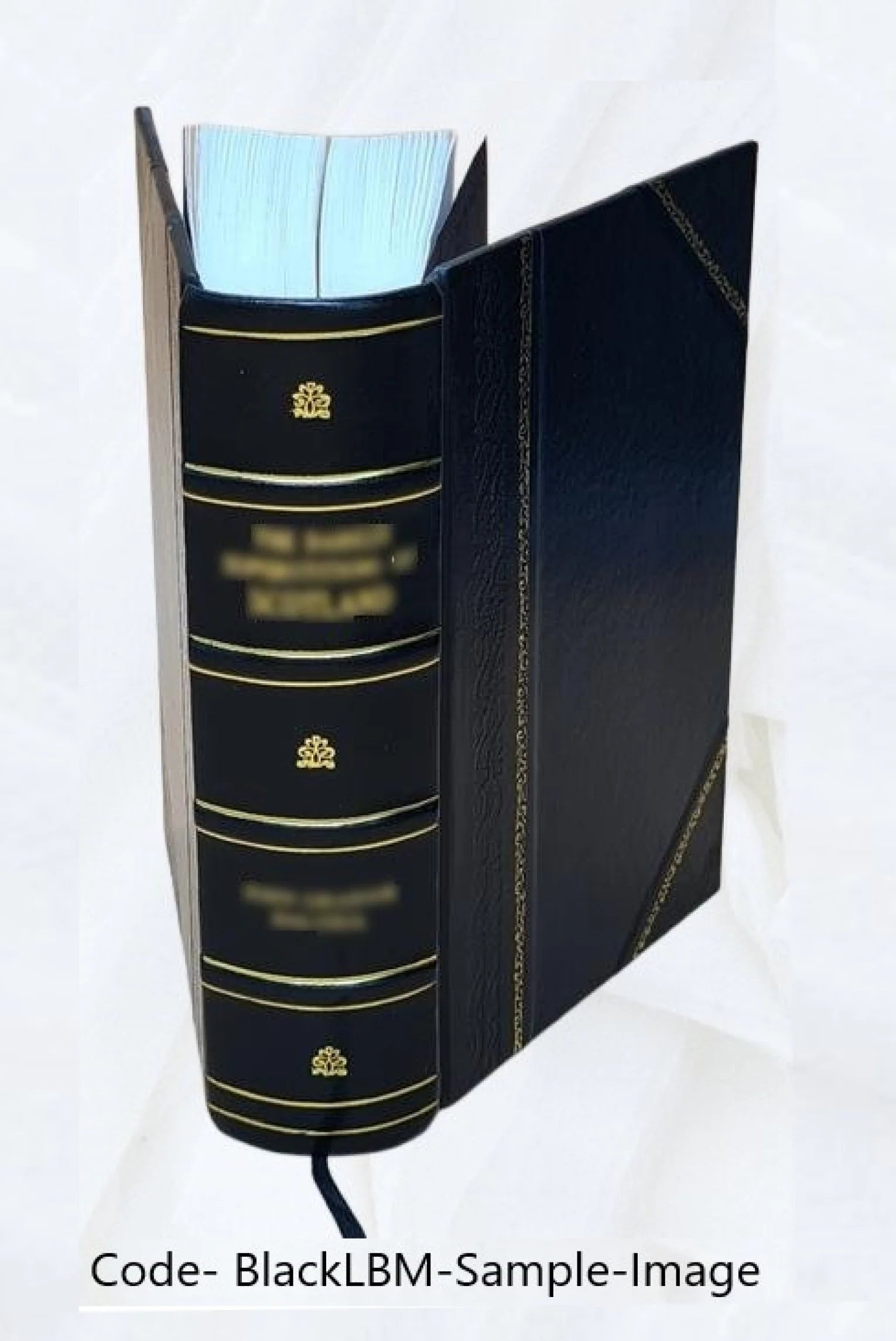 Leather Bound Book T67611