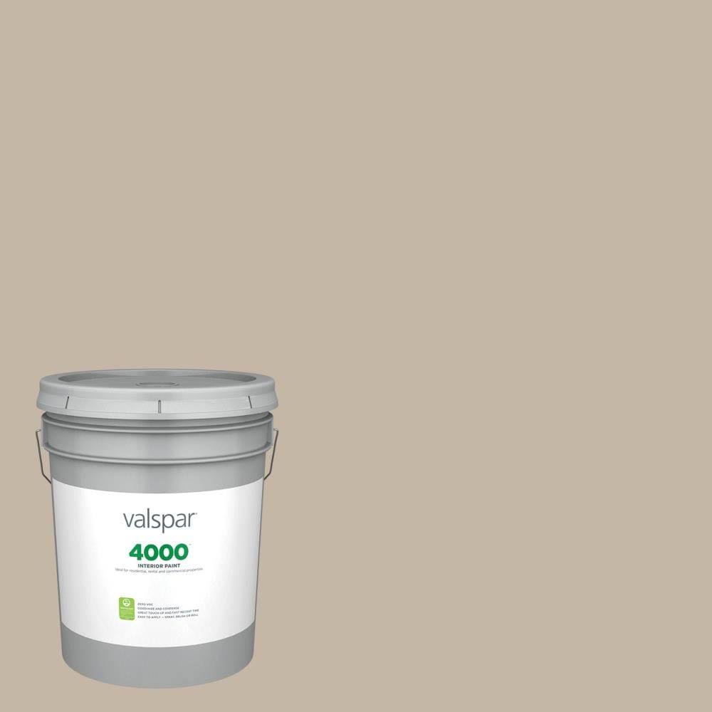Eggshell Interior Paint (5-Gallon) B28128