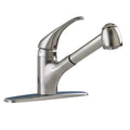 Stainless Steel Pull-Out Kitchen Faucet A24939