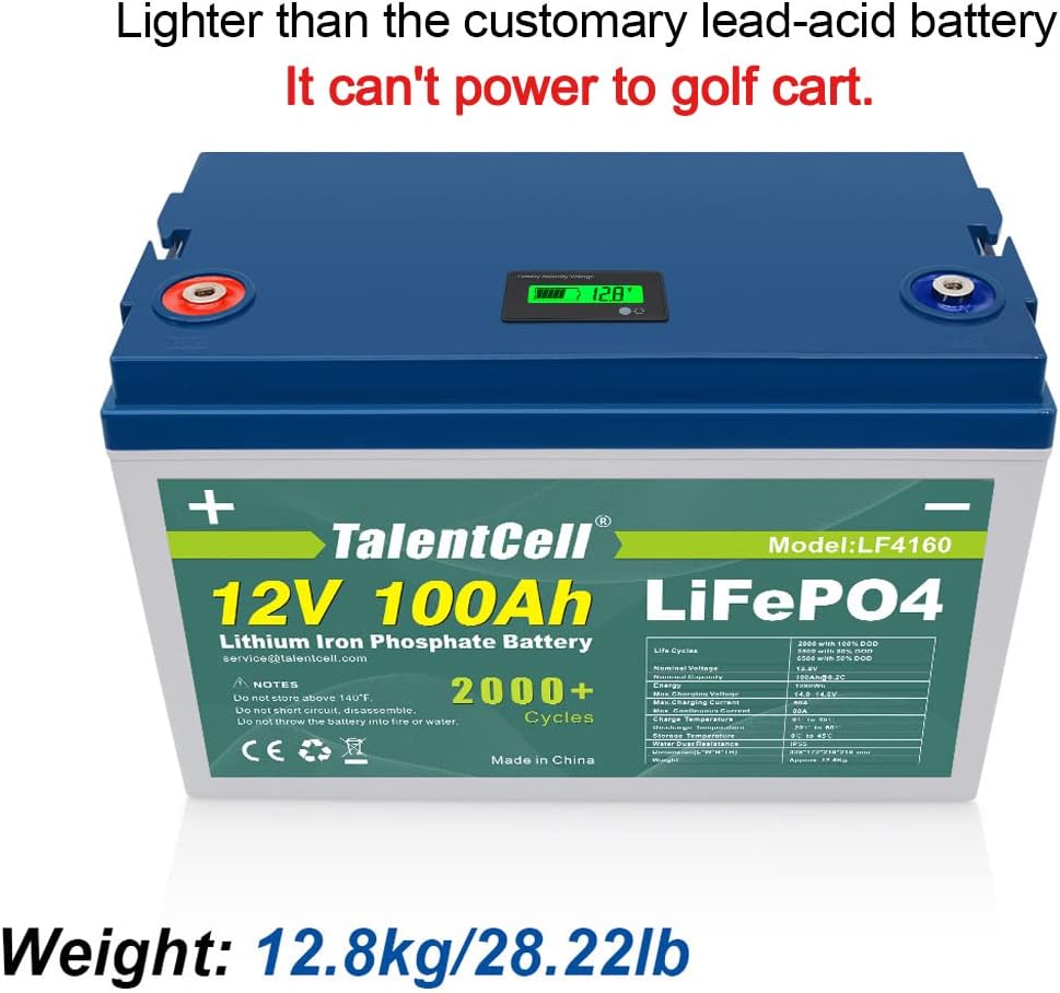 12V 100Ah Lithium Iron Phosphate Deep Cycle Battery Pack with 100A BMS D3670