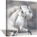 White Horse Picture Wall Art on Wrapped Canvas G79044