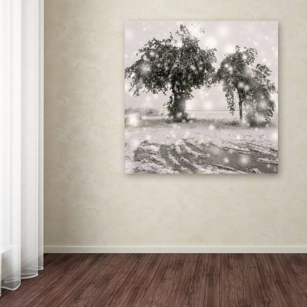 Canvas Art F8530