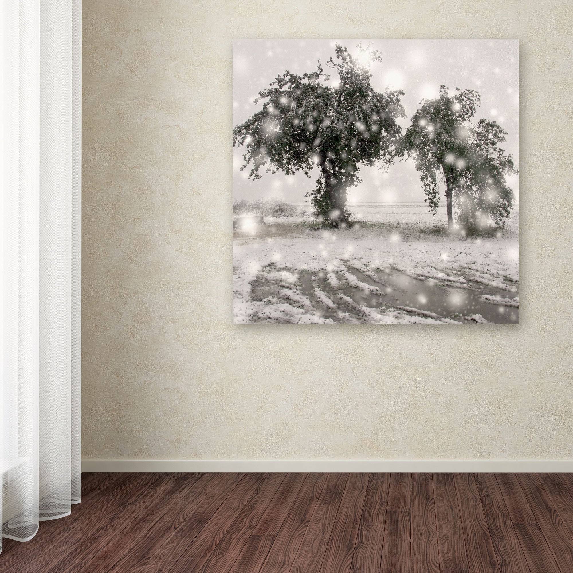 Canvas Art F8530