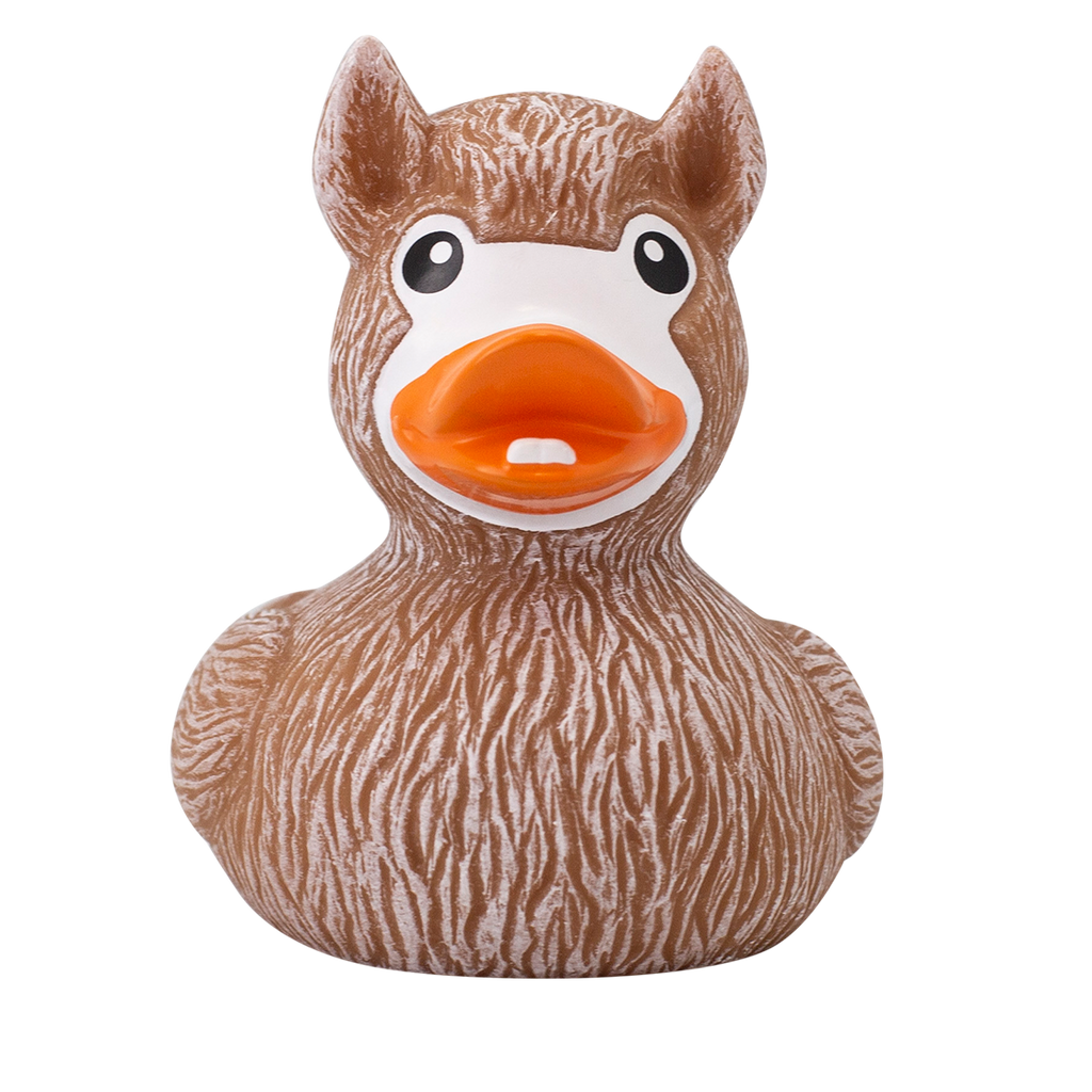 Rubber Duck D73316
