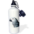 African Grey Parrot Sports Water Bottle 21oz A725
