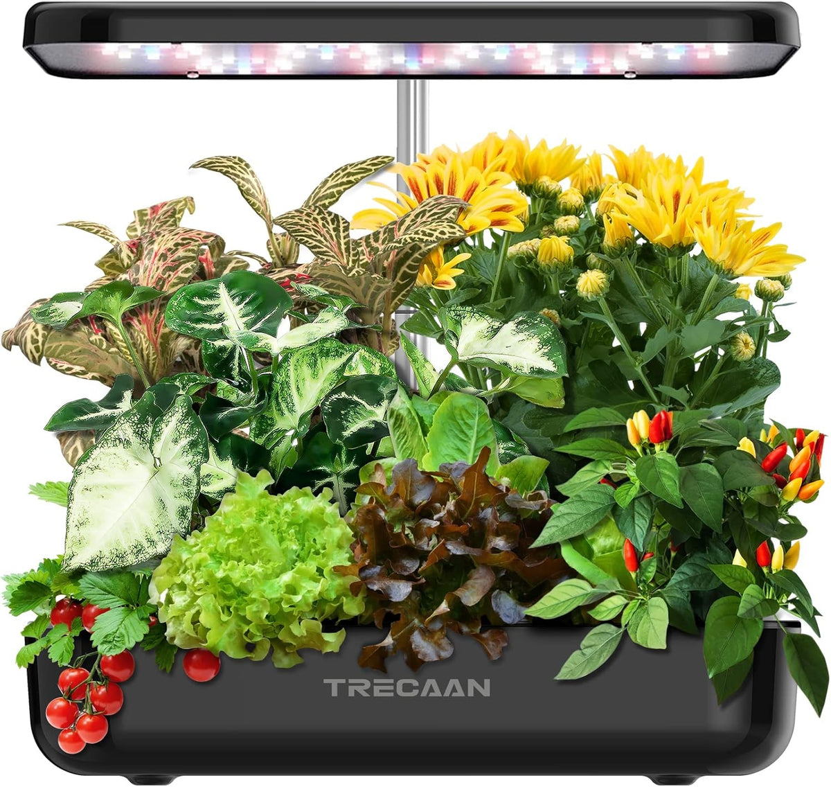 15 Pods Hydroponic Growing System Black M992